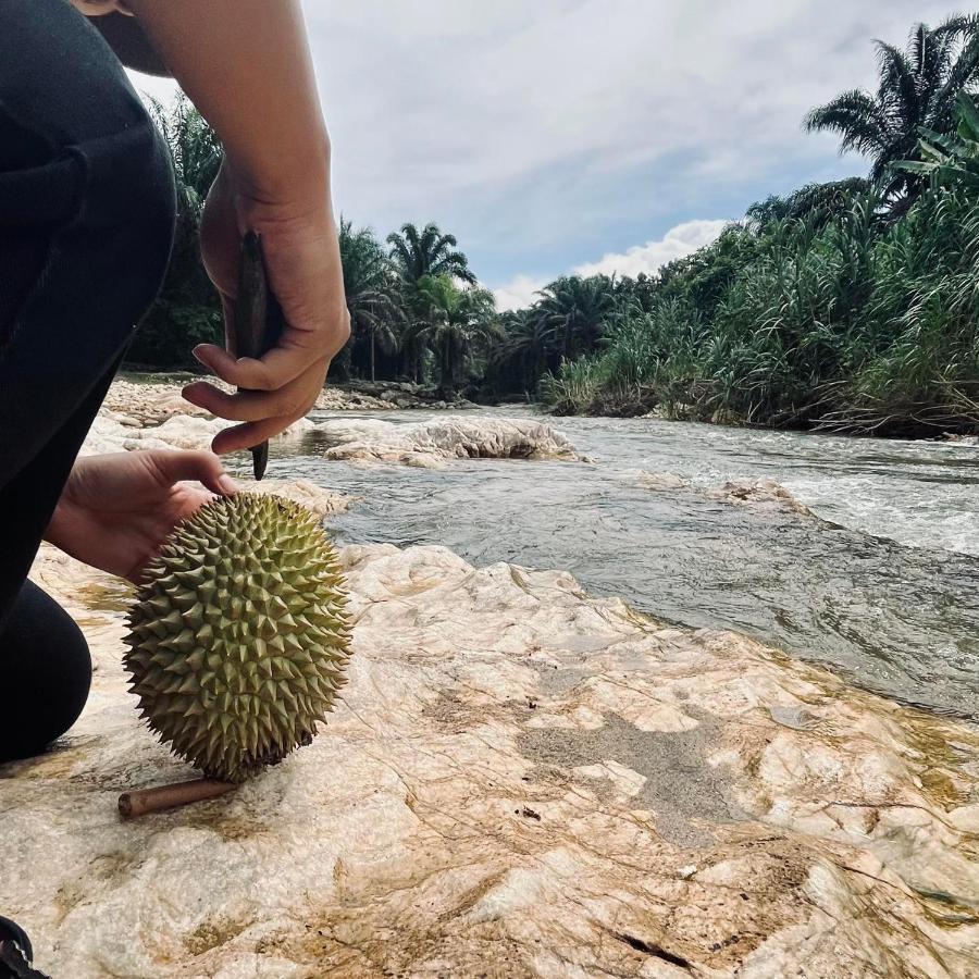 Sahom Valley Resort - Agro & Eco Park Kampar Eksteriør bilde